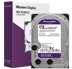 Western Digital 西部数据 紫盘 监控级硬盘