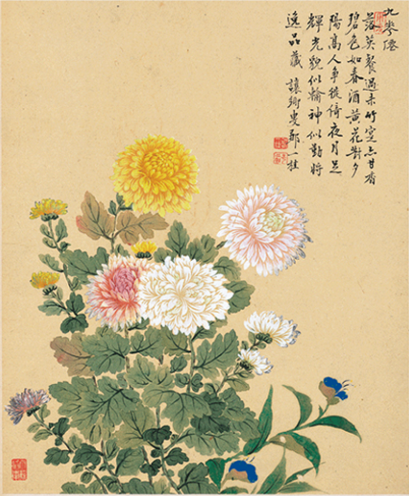国画水墨画《菊花图》邹一桂装饰画挂画壁画 咖啡红 42×47cm