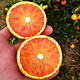 京东PLUS会员：沃多鲜 四川塔罗科血橙 带箱9斤大果（单果65mm以上）