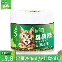 亚禾猫薄荷猫草猫咪零食排除毛球清洁口腔 猫草促进食欲250ml