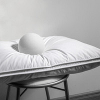 彼得卡努 成人颈椎护颈枕羽绒枕头芯五星级酒店专用  一对装  约 74/48 cm