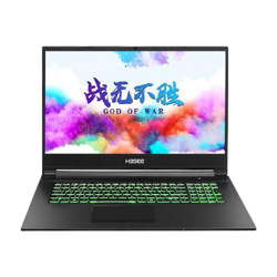 Hasee 神舟 战神系列 G8-CU7NA 17.3英寸笔记本电脑 （i7-10750H、8GB、512GB、RTX2060）