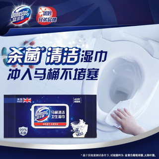 蓝多霸 厕所湿纸巾湿巾 擦除99%细菌 可冲卫生 40片