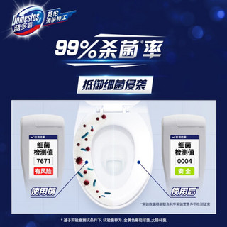 蓝多霸 厕所湿纸巾湿巾 擦除99%细菌 可冲卫生 40片