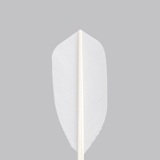 小米有品 dooot道特|D03 入门级羽毛球 优质羽毛 坚固耐打 飞行稳定 D09-12只装