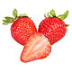 京东PLUS会员：SHUNONGLIAN 蔬农联  大凉山牛奶草莓  3斤