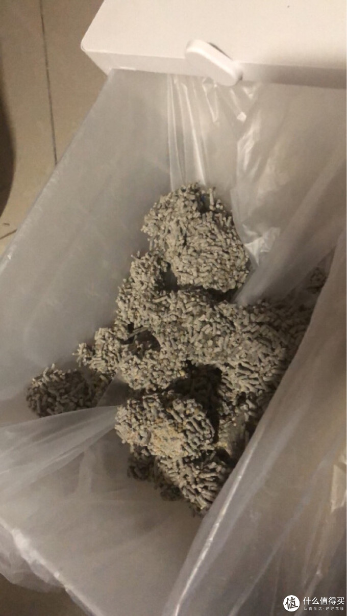 洋芋宠物宠物家居日用