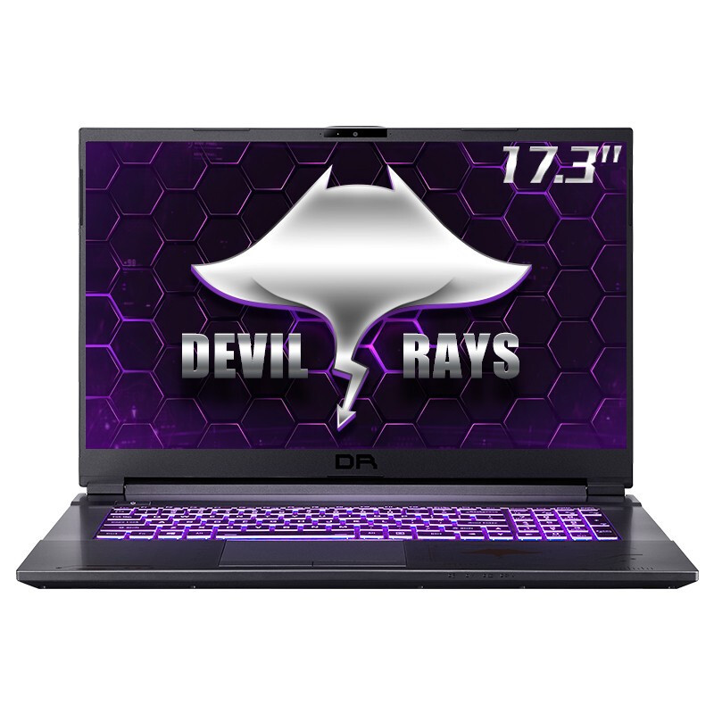 TERRANS FORCE 未来人类 DR721 17.3英寸 游戏本