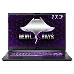 Terrans Force 未来人类  魔鬼鱼 DR721 17.3英寸游戏本（i7-10870H、16GB、512GB、RTX 3060、240Hz)