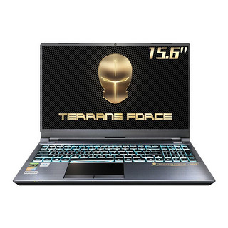 TERRANS FORCE 未来人类 T5X 15.6英寸 游戏本 银色(酷睿i7-10870H、RTX 3080 Max-Q 8G、32GB、1TB SSD、1080P、300Hz、T5X-3080M-870S1)