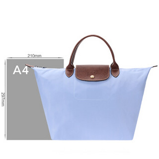 LONGCHAMP 珑骧 LE PLIAGE系列 女士织物饺子包 1623 089 A30 薄雾蓝 中号