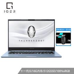 ThundeRobot 雷神 IGER S1 14英寸笔记本电脑(i5-11300H、16GB、512GB、锐炬Xe、100%sRGB)