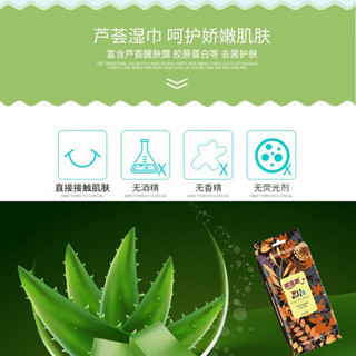 顺清柔杀菌湿巾 杀菌洁肤卫生湿纸巾 10片独立装*10包 (量贩装)芦荟去菌护肤湿巾