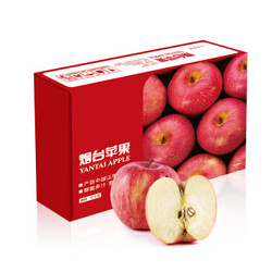 京觅 烟台红富士苹果 12个 净重2.6kg以上 单果190-240g  *9件