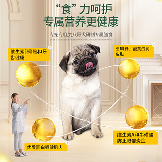 Navarch 耐威克 巴哥八哥幼犬专用2.5kg5斤3个月以上小型犬适用天然狗粮