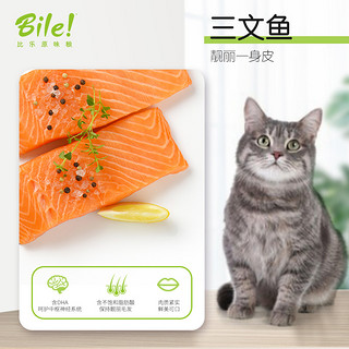 Bile 比乐 原味三文鱼鱼油肉碱成猫通用猫粮2kg