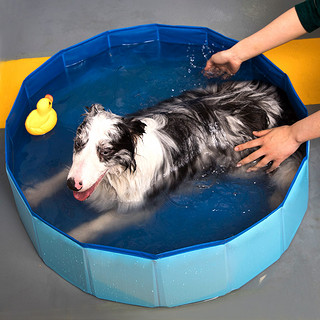 狗狗洗澡盆可折叠浴盆游泳池金毛浴缸猫咪泡澡桶大型犬宠物洗澡盆