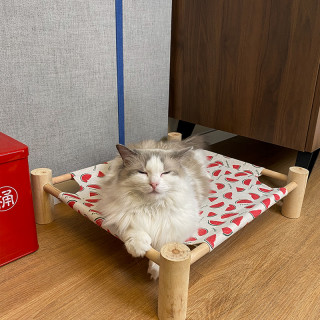 疯狂小狗猫窝夏天可拆洗四季通用猫咪床猫咪窝宠物行军床狗床狗窝猫咪用品