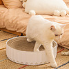 猫抓板窝磨爪器瓦楞纸防猫抓盆不掉屑防猫抓柱沙发猫玩具猫咪用品