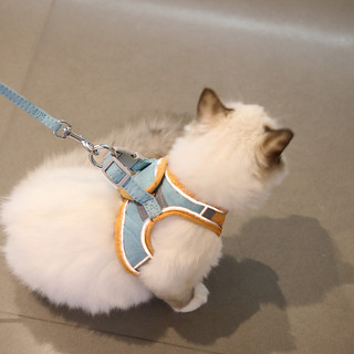 猫咪牵引绳背心式猫咪专用外出胸背带防挣脱可调节遛猫绳子猫链子