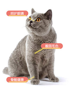 优趣 joiepal 优趣 成猫幼猫粮成年猫增肥1.5kg共6斤天然10英短蓝猫鱼肉味全价粮