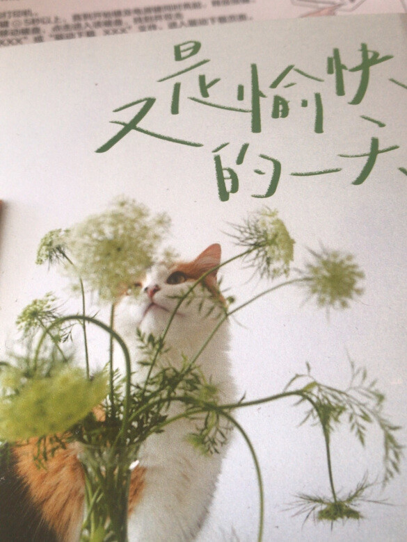 又是愉快的一天,很愉快