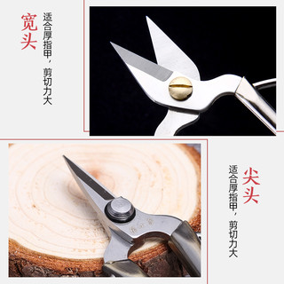 张小泉合金指甲剪刀两件套不锈钢修甲脚趾强力甲沟夹沟炎剪子剪刀（墨黛蓝——宽头）