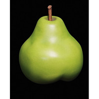 维格列艺术Bull & stein水果雕塑艺术摆件梨天鹅绒绿色 380×380mm