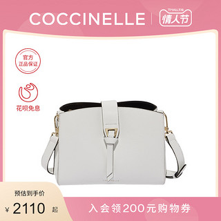 2020春夏新品COCCINELLE/可奇奈尔ALBA小号细粒面牛皮单肩斜挎包