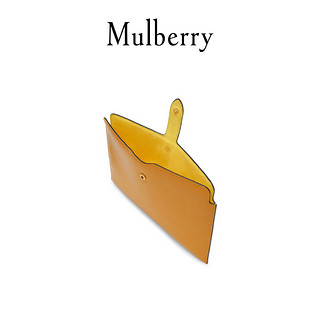 Mulberry/玛珀利2020秋冬新款皮手拿包四合扣科技产品小袋 RL6210