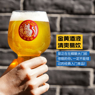  ABInbev/百威英博 超淡色艾尔精酿 凤梨味啤酒  包装
