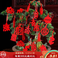 多美忆 新年装饰品新年福字春节装饰品新春挂件灯笼新年装饰品门挂节日场景布置挂饰 盆景小挂件25个装红色