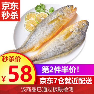 九善食 无公害宁德大黄鱼/黄花鱼 700g 2条 海鲜水产 *2件