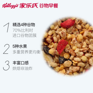 韩国进口 家乐氏(Kellogg’s)水果麦片 谷兰诺拉什锦即食谷物代餐 营养早餐燕麦片400g