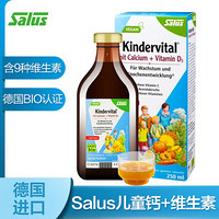 莎露斯铁元（Salus Floradix）德国进口青少年维生素儿童补钙液体维他命D3营养液250ml/瓶