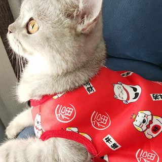 猫猫衣服猫咪用衣服秋冬装过年宠物衣服猫衣服保暖英短美短小猫衣服新年衣服成年猫幼猫新年装 S(适合3-5斤左右)