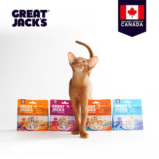 GREAT JACKS大杰克冻干生骨肉猫粮 加拿大进口幼猫成猫营养猫零食 三文鱼冻干85g