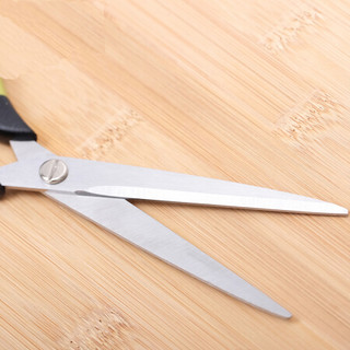 乐扣乐扣（LOCK&LOCK） 乐扣乐扣 厨房多功能剪刀 不锈钢长刃剪 家用手工剪 长刃剪-绿色