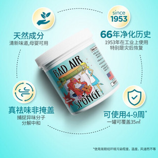 Bad Air Sponge空气净化剂400g*3罐装 除异味