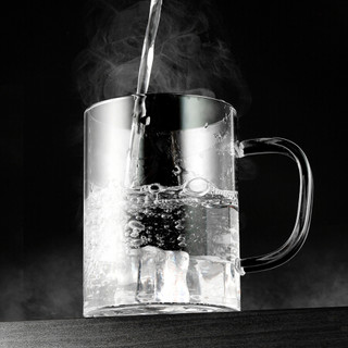 富光 清雅花茶杯 茶水分离杯子 可加热水杯 常规款 500ML