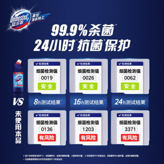 DOMESTOS 蓝多霸 洁厕灵 冰川山泉香 500g+100g除菌洁厕