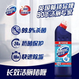 DOMESTOS 蓝多霸 洁厕灵 冰川山泉香 500g+100g除菌洁厕