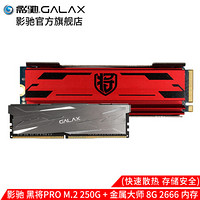 影驰黑将250G500G M.2 NVME SSD台式机250黑将PRO固态硬盘2280PCIE硬盘 黑将 PRO 250G+金属大师8G 2666内存