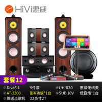 惠威(HiVi)Diva 6.1HT家庭影院5.1声道家庭影院 家用双8英寸音箱音响 KTV套装组合 套餐十二:(5.1声道)AT2300视唱KTV版