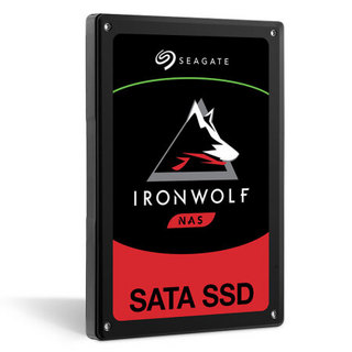 SEAGATE 希捷 酷狼IronWolf 110系列 SATA 固态硬盘 (SATA3.0)