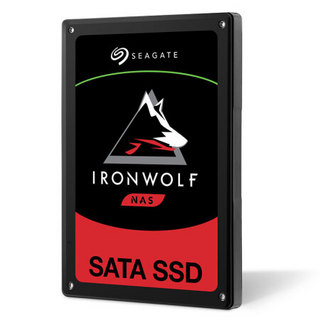 SEAGATE 希捷 酷狼IronWolf 110系列 SATA 固态硬盘 (SATA3.0)