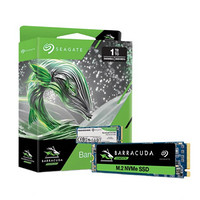 SEAGATE 希捷 酷鱼510系列 NVMe M.2 固态硬盘 250GB (SATA3.0) ZP250CM3A001