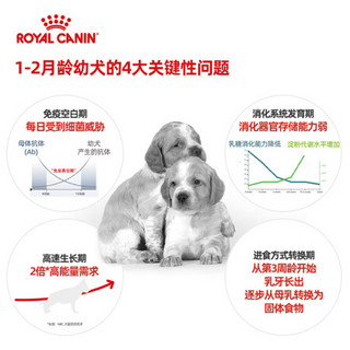 ROYAL CANIN 皇家 狗粮 MEJ32中型犬M25幼犬成犬粮狗粮 MES30中型犬奶糕≤2月4KG