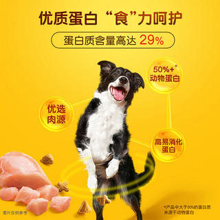 Pedigree 宝路 新品肉食控 宝路狗粮中小型成犬泰迪比熊贵宾洁齿颗粒双拼1.5kg