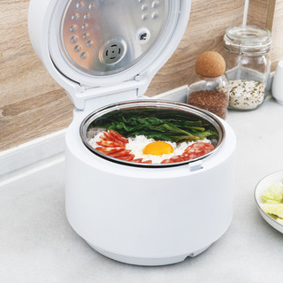 乐扣乐扣低糖电饭煲5L家用智能多功能迷你小型电饭锅1-2-3-4人用